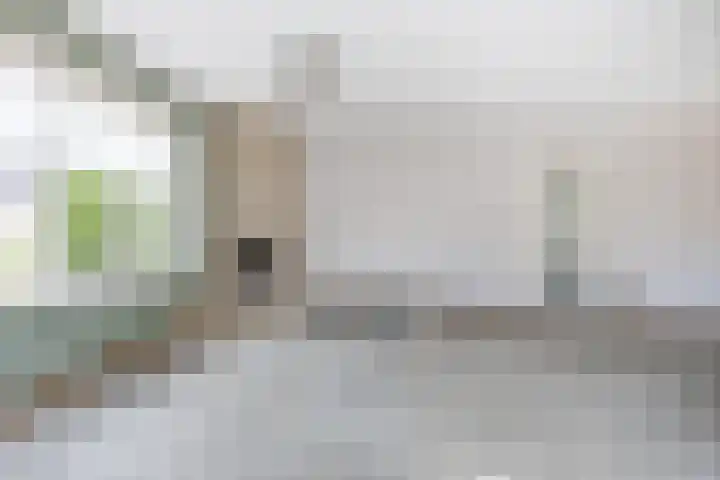 Steenhuis 17 Delfzijl thumbnail 12