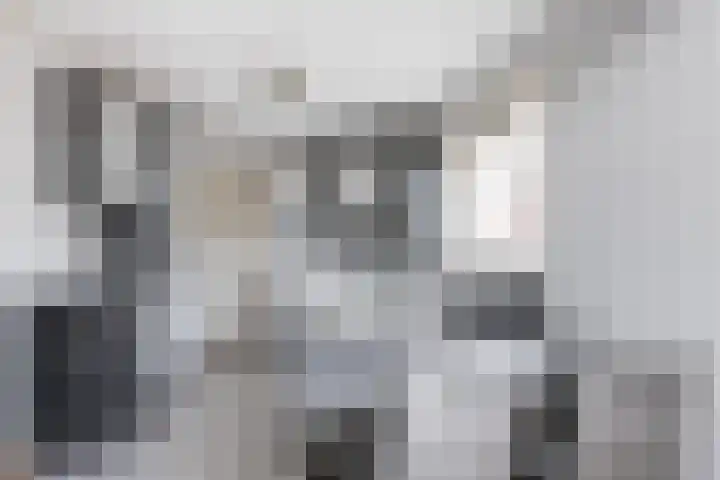 Steenhuis 17 Delfzijl thumbnail 14