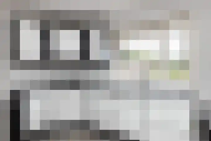 Steenhuis 17 Delfzijl thumbnail 15