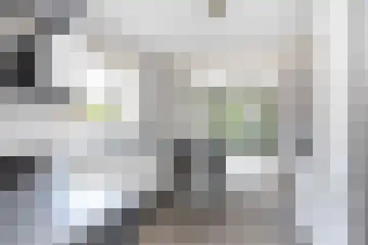 Steenhuis 17 Delfzijl thumbnail 18