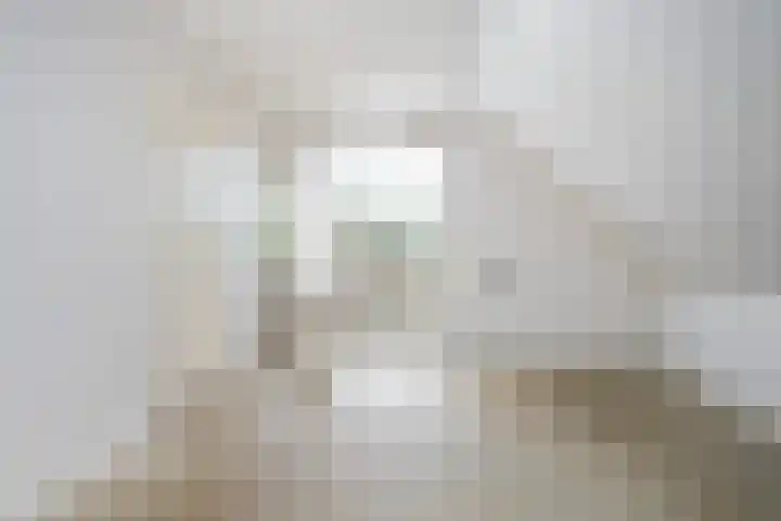 Steenhuis 17 Delfzijl thumbnail 20