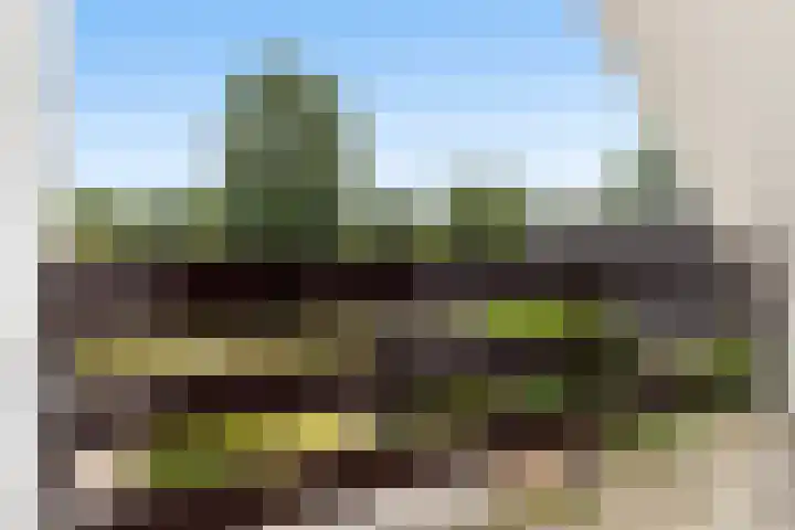 Steenhuis 17 Delfzijl thumbnail 21