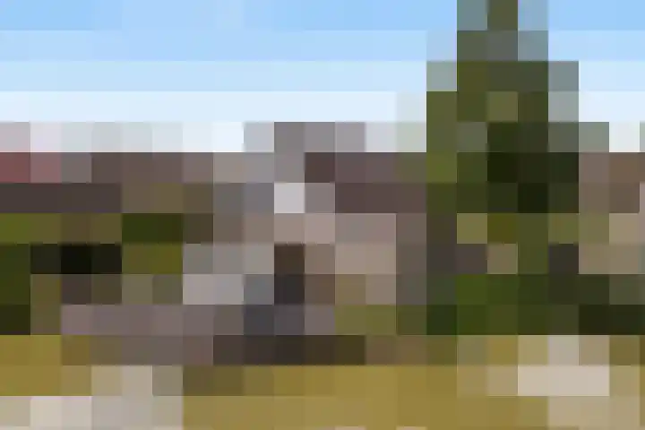Steenhuis 17 Delfzijl thumbnail 29