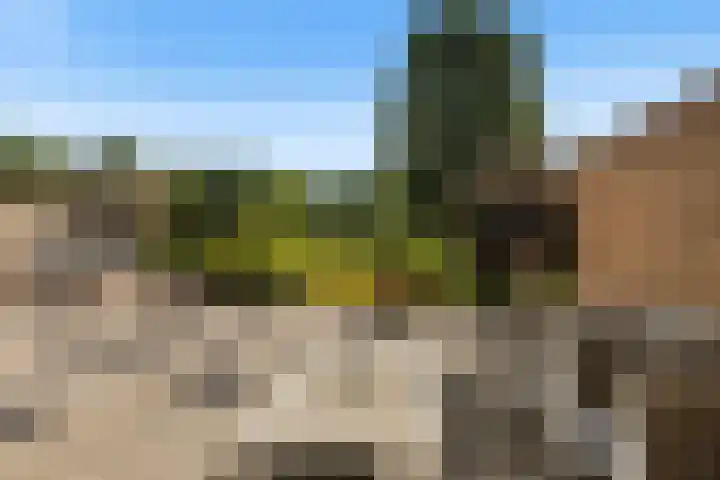 Steenhuis 17 Delfzijl thumbnail 31
