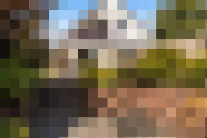 Steenhuis 17 Delfzijl thumbnail 34