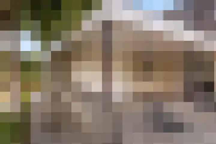 Steenhuis 17 Delfzijl thumbnail 35