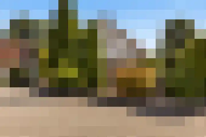 Steenhuis 17 Delfzijl thumbnail 37