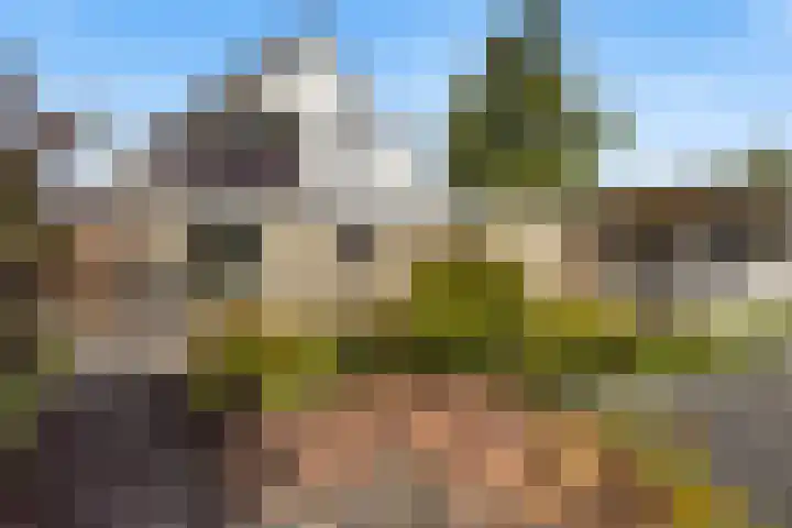 Steenhuis 17 Delfzijl thumbnail 5