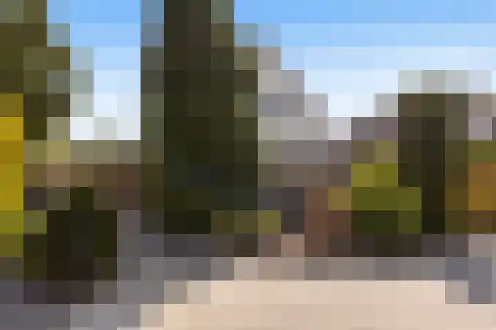 Steenhuis 17 Delfzijl thumbnail 6