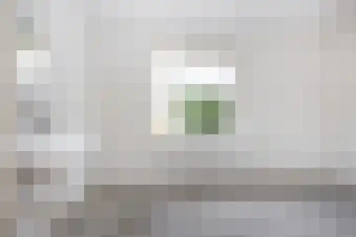 Steenhuis 17 Delfzijl thumbnail 9