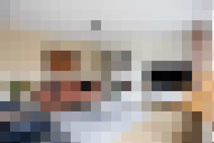 Steenhuis 21 Delfzijl thumbnail 12
