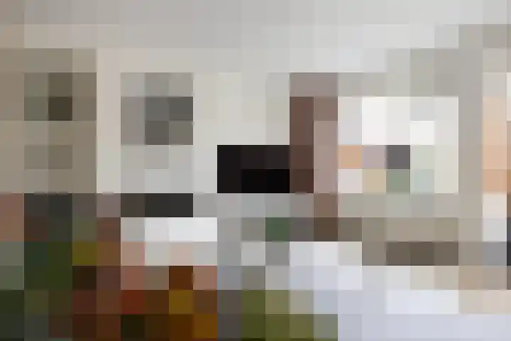 Steenhuis 21 Delfzijl thumbnail 17