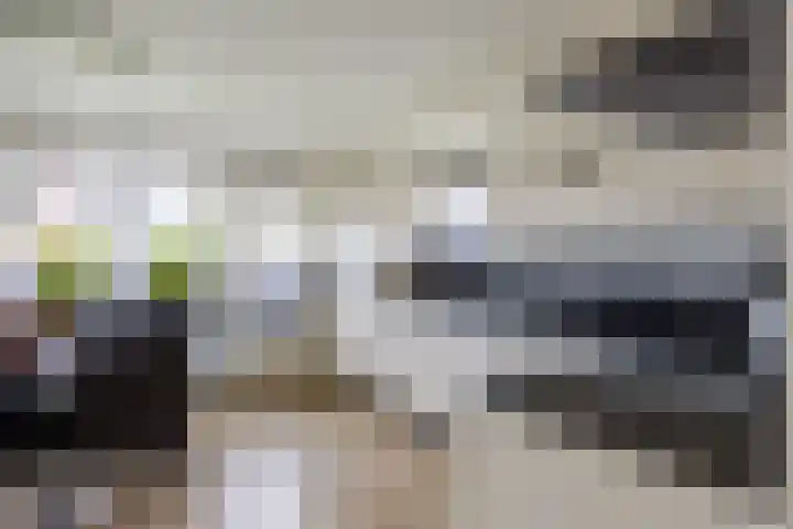 Steenhuis 21 Delfzijl thumbnail 19