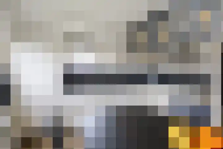 Steenhuis 21 Delfzijl thumbnail 24