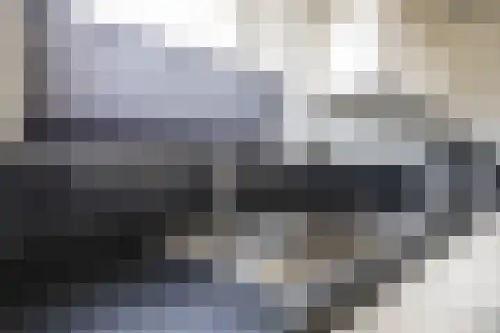 Steenhuis 21 Delfzijl thumbnail 25