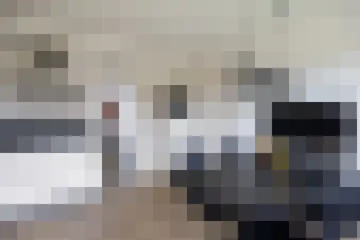Steenhuis 21 Delfzijl thumbnail 26