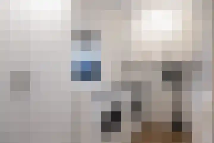 Steenhuis 21 Delfzijl thumbnail 27
