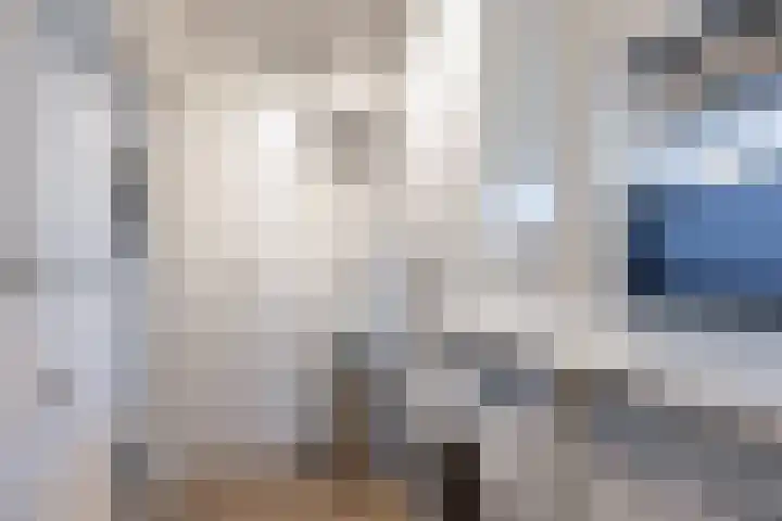 Steenhuis 21 Delfzijl thumbnail 28