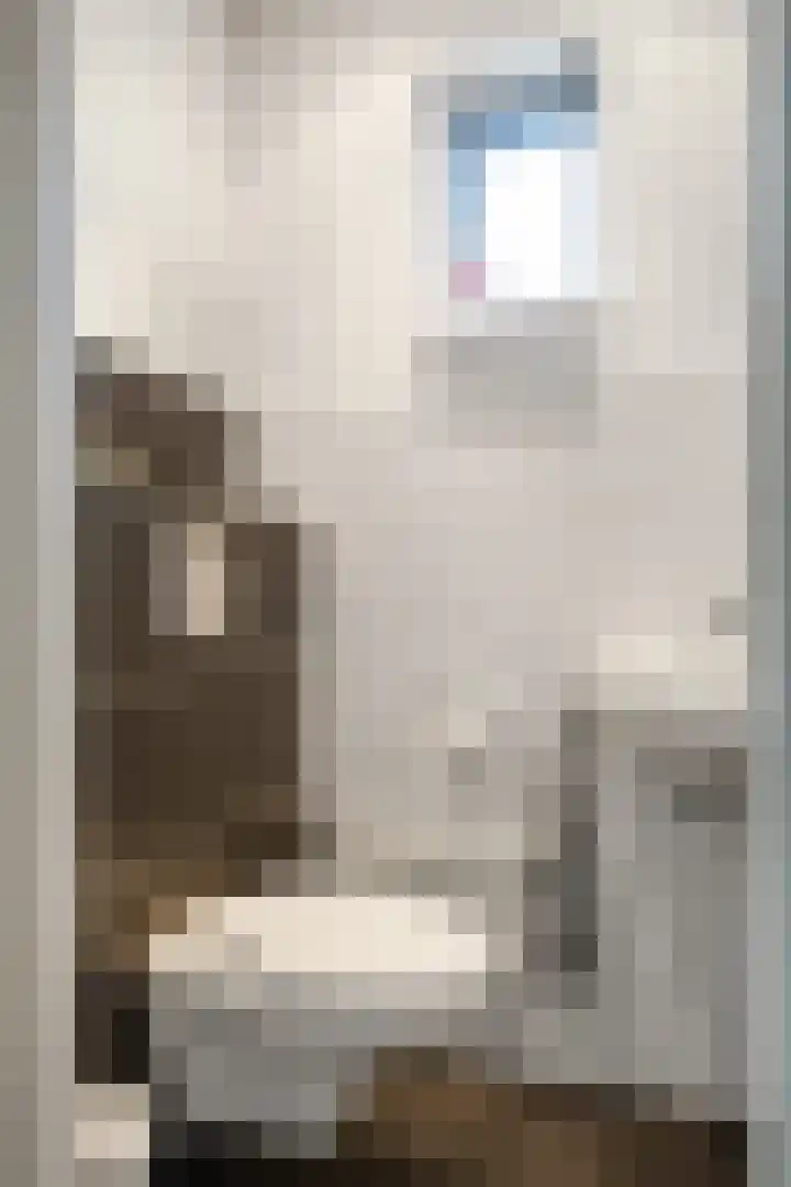 Steenhuis 21 Delfzijl thumbnail 31