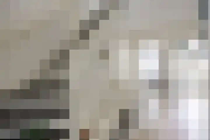 Steenhuis 21 Delfzijl thumbnail 33
