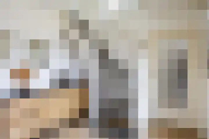 Steenhuis 21 Delfzijl thumbnail 6