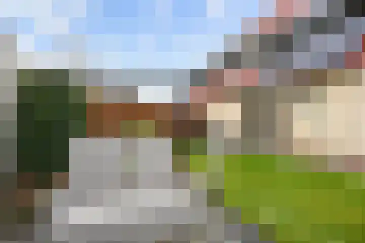 Steenhuis 21 Delfzijl thumbnail 62