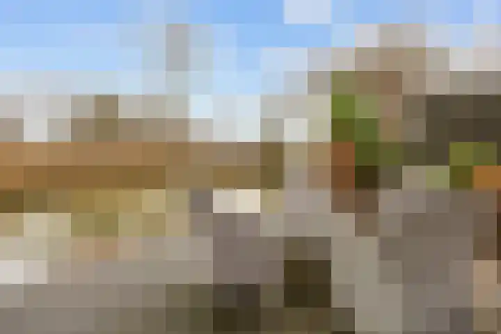 Steenhuis 21 Delfzijl thumbnail 65