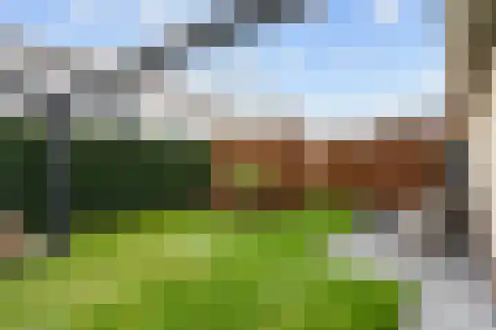 Steenhuis 21 Delfzijl thumbnail 67