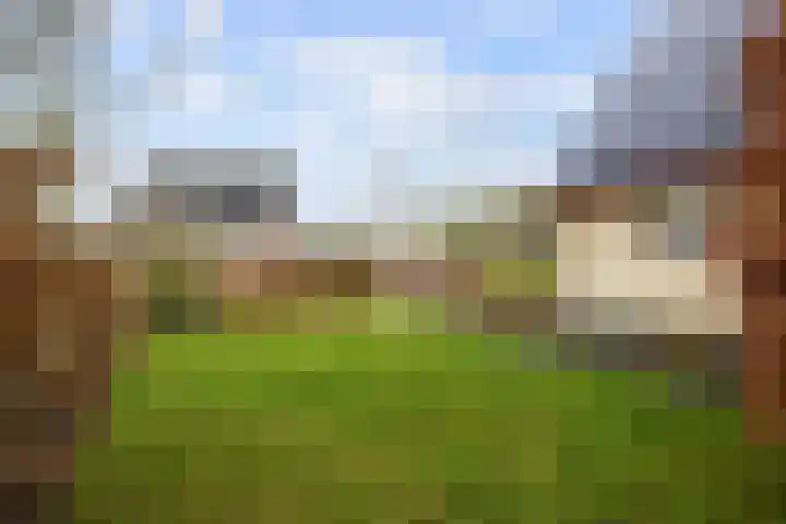 Steenhuis 21 Delfzijl thumbnail 69