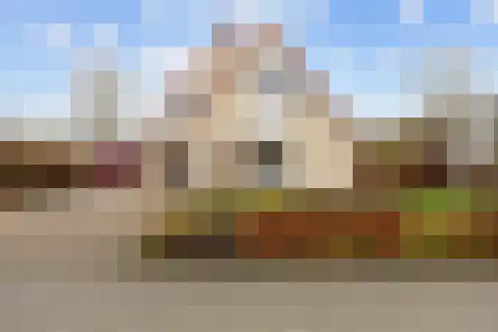 Steenhuis 21 Delfzijl thumbnail 75