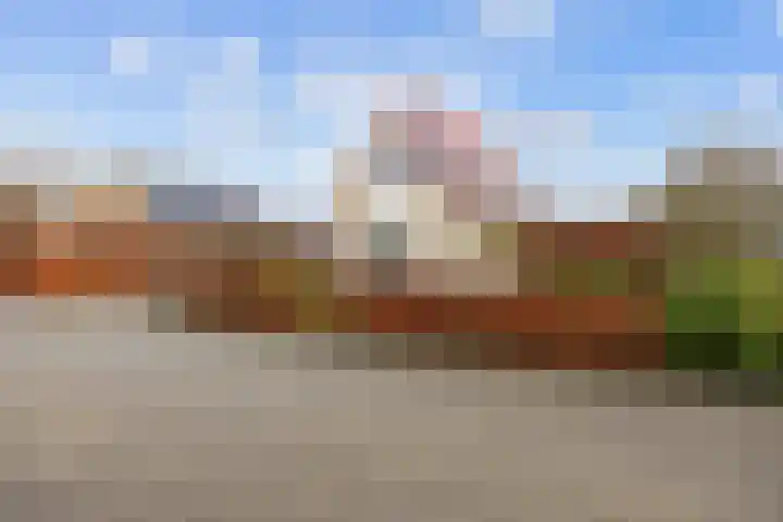 Steenhuis 21 Delfzijl thumbnail 76