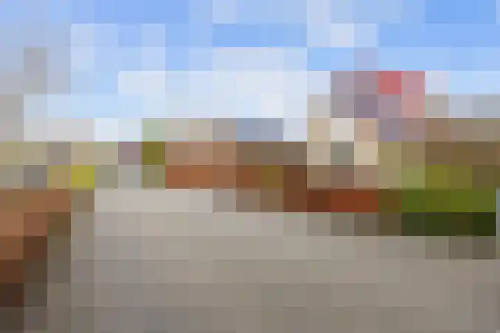 Steenhuis 21 Delfzijl thumbnail 77