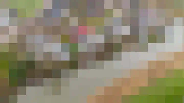 Steenhuis 21 Delfzijl thumbnail 79