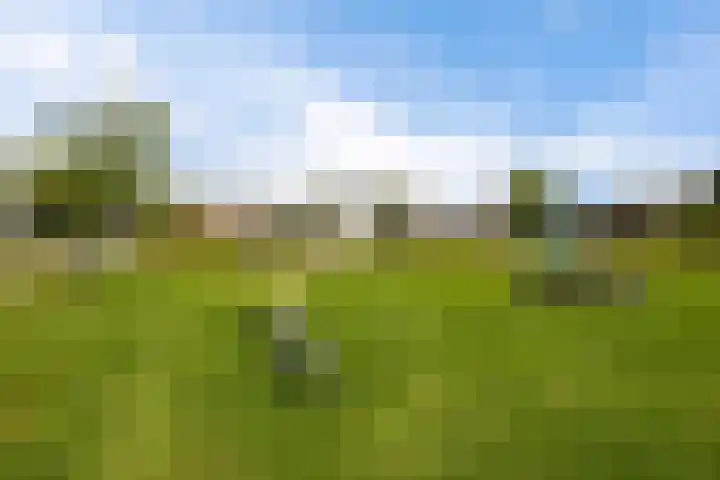 Steenhuis 8 Delfzijl thumbnail 11