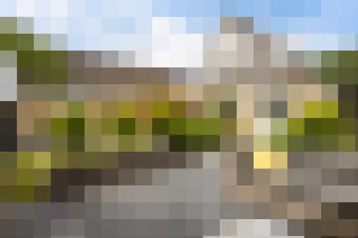 Steenhuis 8 Delfzijl thumbnail 12