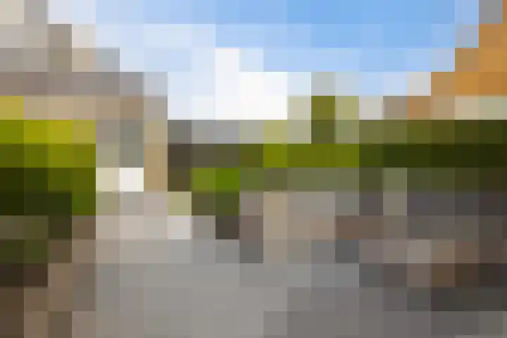 Steenhuis 8 Delfzijl thumbnail 13