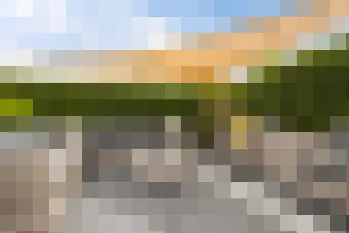 Steenhuis 8 Delfzijl thumbnail 14