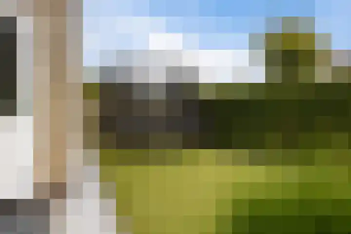 Steenhuis 8 Delfzijl thumbnail 16