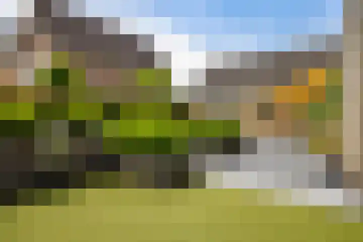 Steenhuis 8 Delfzijl thumbnail 17