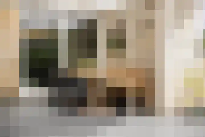Steenhuis 8 Delfzijl thumbnail 19