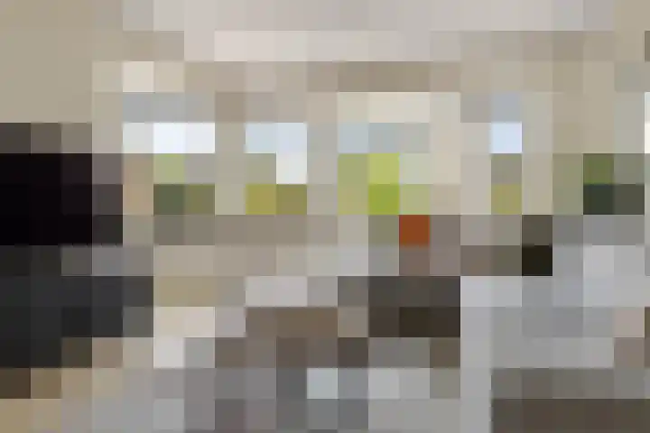 Steenhuis 8 Delfzijl thumbnail 27