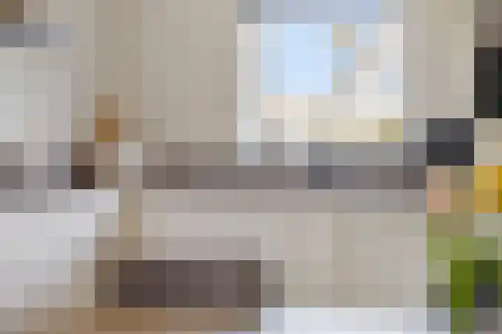 Steenhuis 8 Delfzijl thumbnail 33
