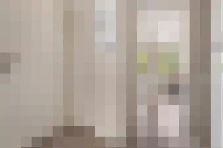 Steenhuis 8 Delfzijl thumbnail 41