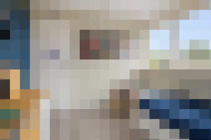 Steenhuis 8 Delfzijl thumbnail 45