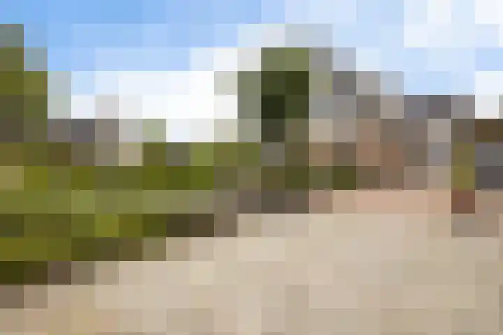 Steenhuis 8 Delfzijl thumbnail 7