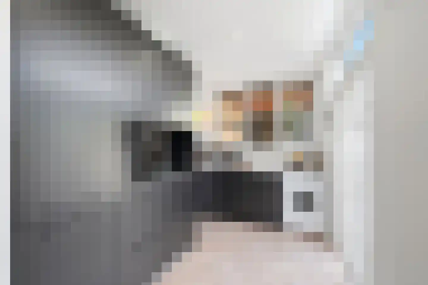 Steenhuisstraat 17 Vlissingen thumbnail 10