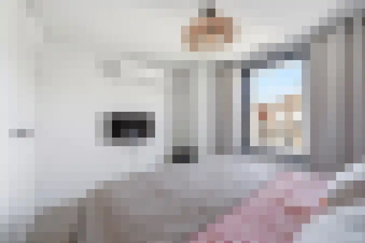 Steenhuisstraat 17 Vlissingen thumbnail 16