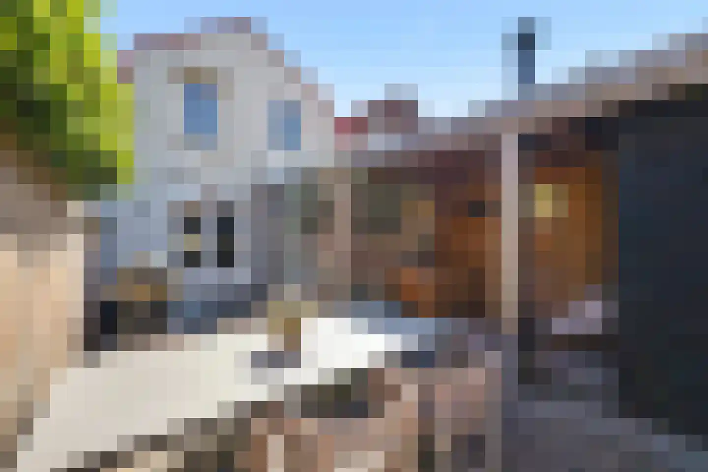 Steenhuisstraat 17 Vlissingen thumbnail 26