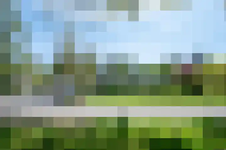 Steenkamp 5 Haren Gn thumbnail 10