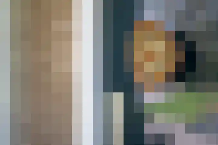 Steenkamp 5 Haren Gn thumbnail 14